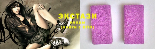 гидра Вязьма