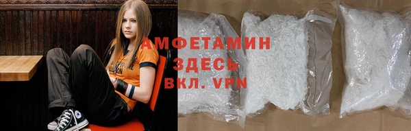 гидра Вязьма