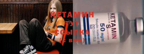 гидра Вязьма