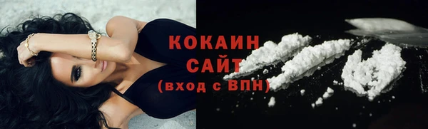 гидра Вязьма