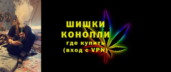 гидра Вязьма