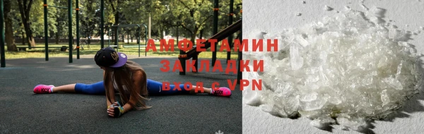 гидра Вязьма