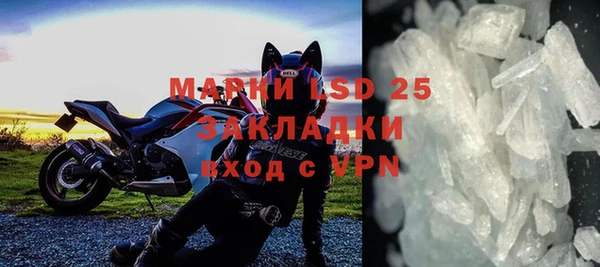 гидра Вязьма