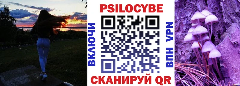 магазин  наркотиков  Зеленоградск  Галлюциногенные грибы Cubensis 